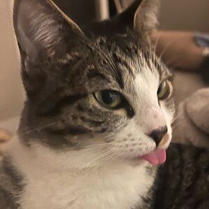 Meet your Posher, Aurora